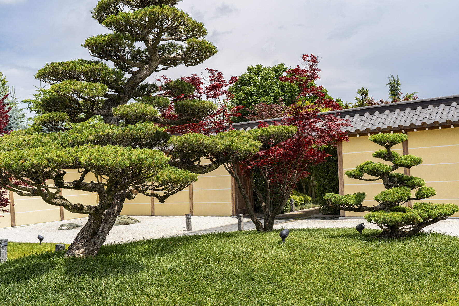 Вход в японский сад - территория с потрясающей красоты можжевельниками и различного размера камнями.