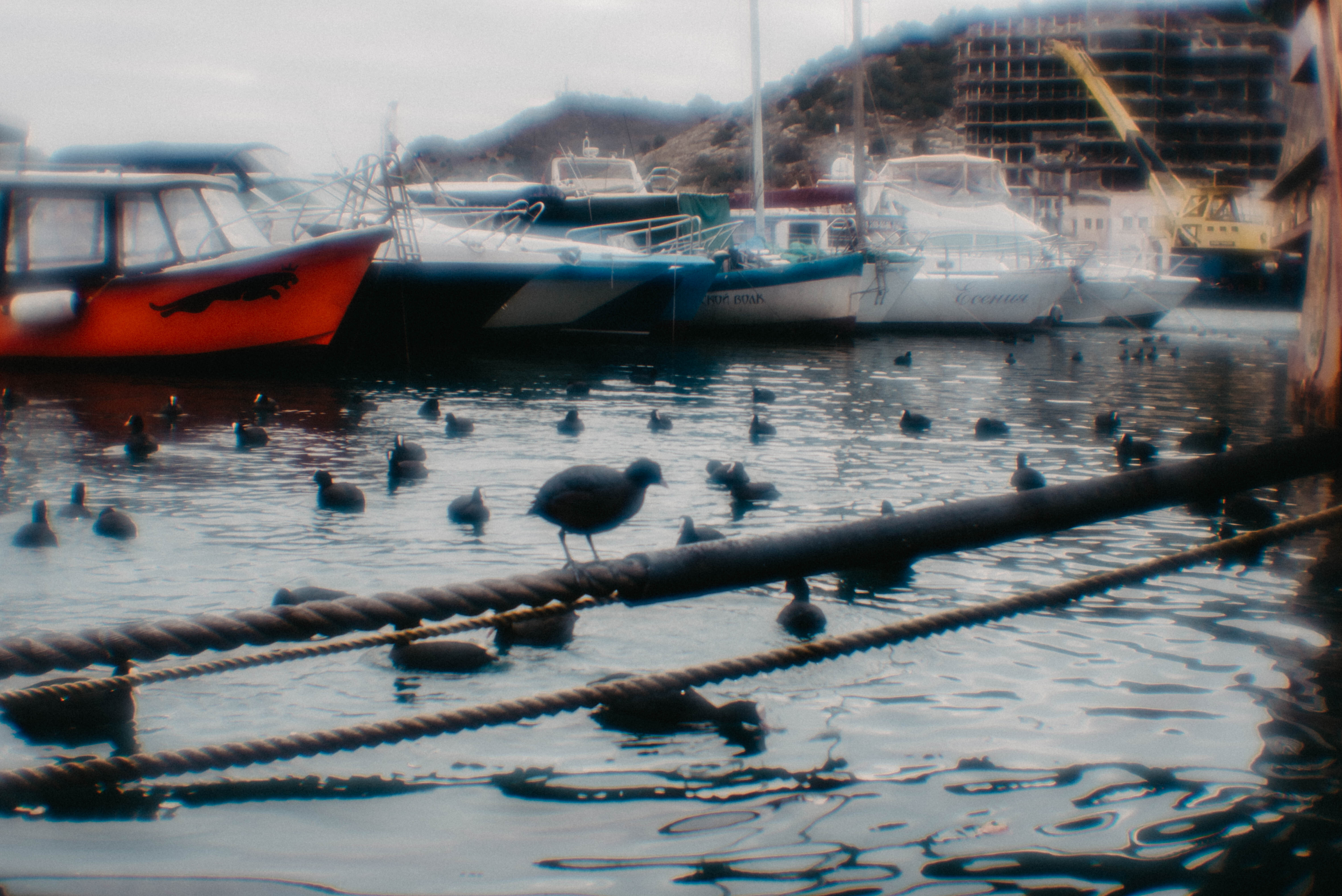 Балаклава, Севастополь, монокль сияние.