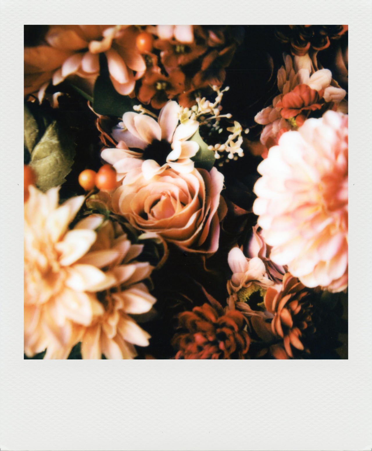 Цветы. Фотограф StoleYourRubberToes