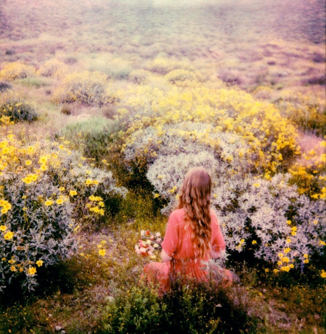 Девушка среди цветов. Фотограф Брэнди Фокс