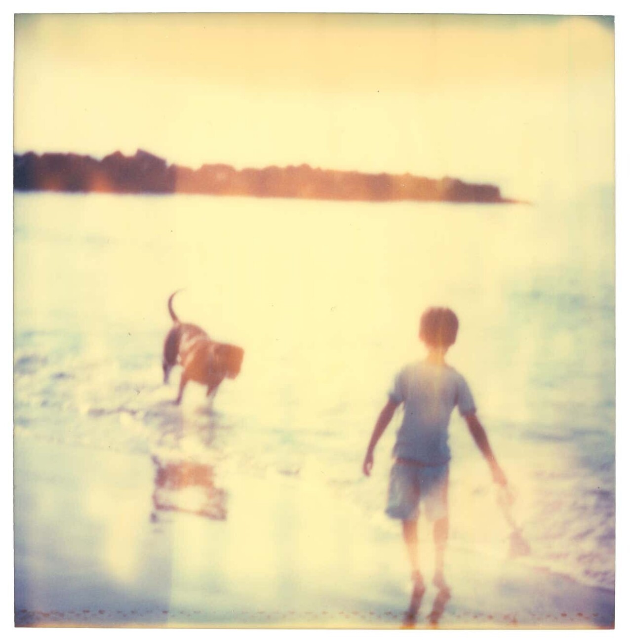 Детские воспоминания. Пляж, океан, собака, 2006. Фотограф Стефани Шнайдер
