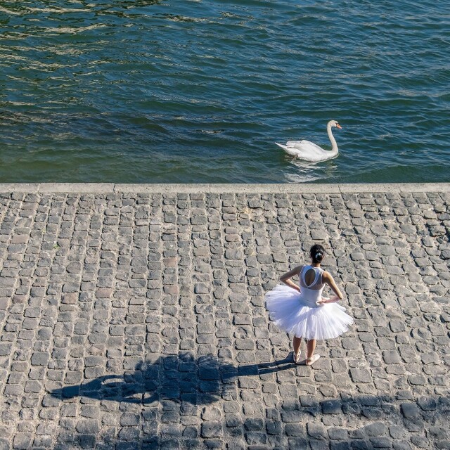 Балерина и лебедь. Фотограф Антуан Буттафоги