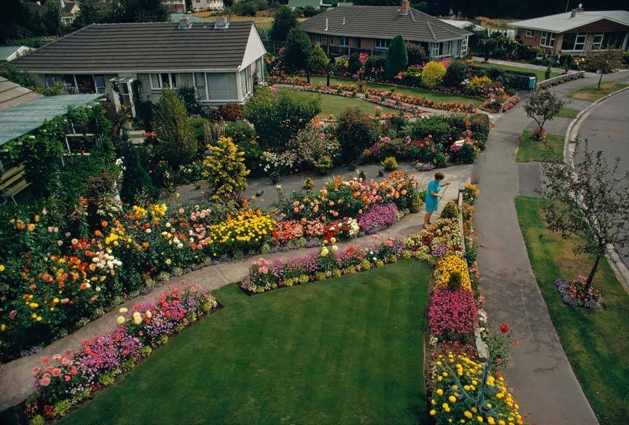 Частный сад в Крайстчерче, Новая Зеландия, 1972. Фотограф Джеймс Л. Эймос