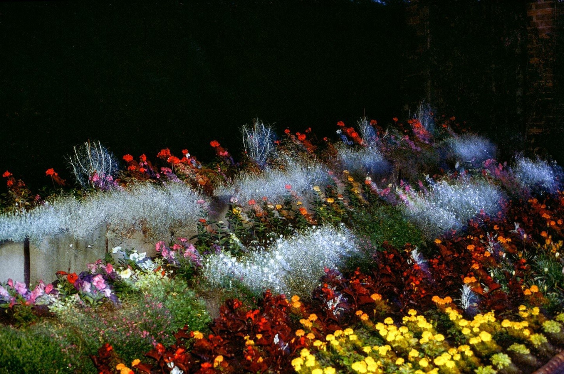 Цветочный сад Броквелл-парка, Лондон, Англия, 1989. Фотограф Крис Стил-Перкинс
