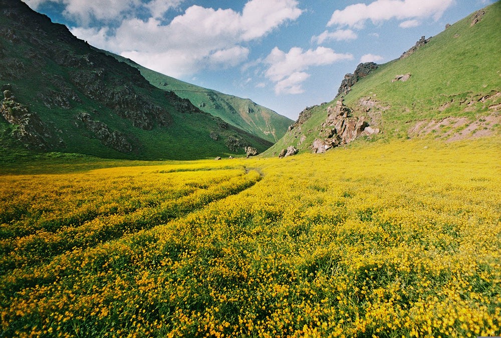 Кавказ. Фотограф Евгений Воронюк