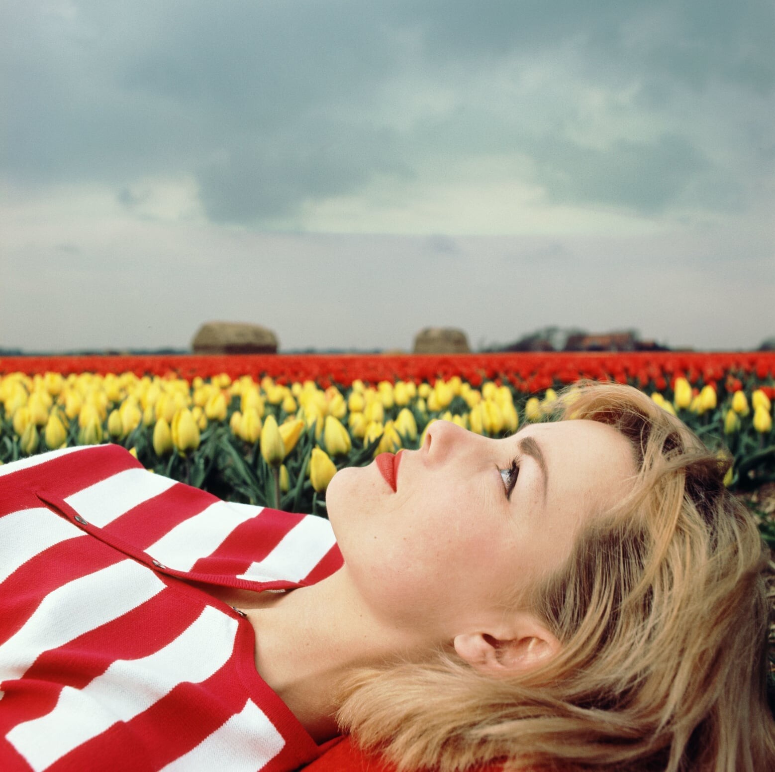 Девушка и поля тюльпанов, 1960-е. Фотограф Кис Шерер