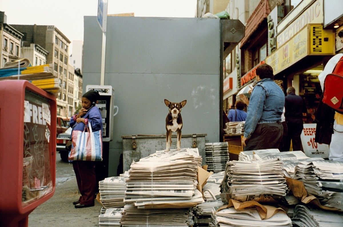 Нью-Йорк, 1993. Фотограф Джефф Мермельштейн