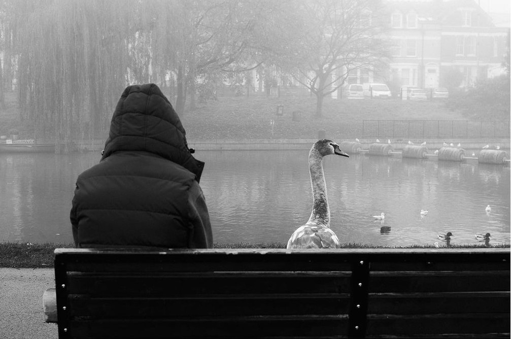 В парке у пруда. Кембридж, Великобритания, ноябрь 2020 года. Фотограф CJ Méndez