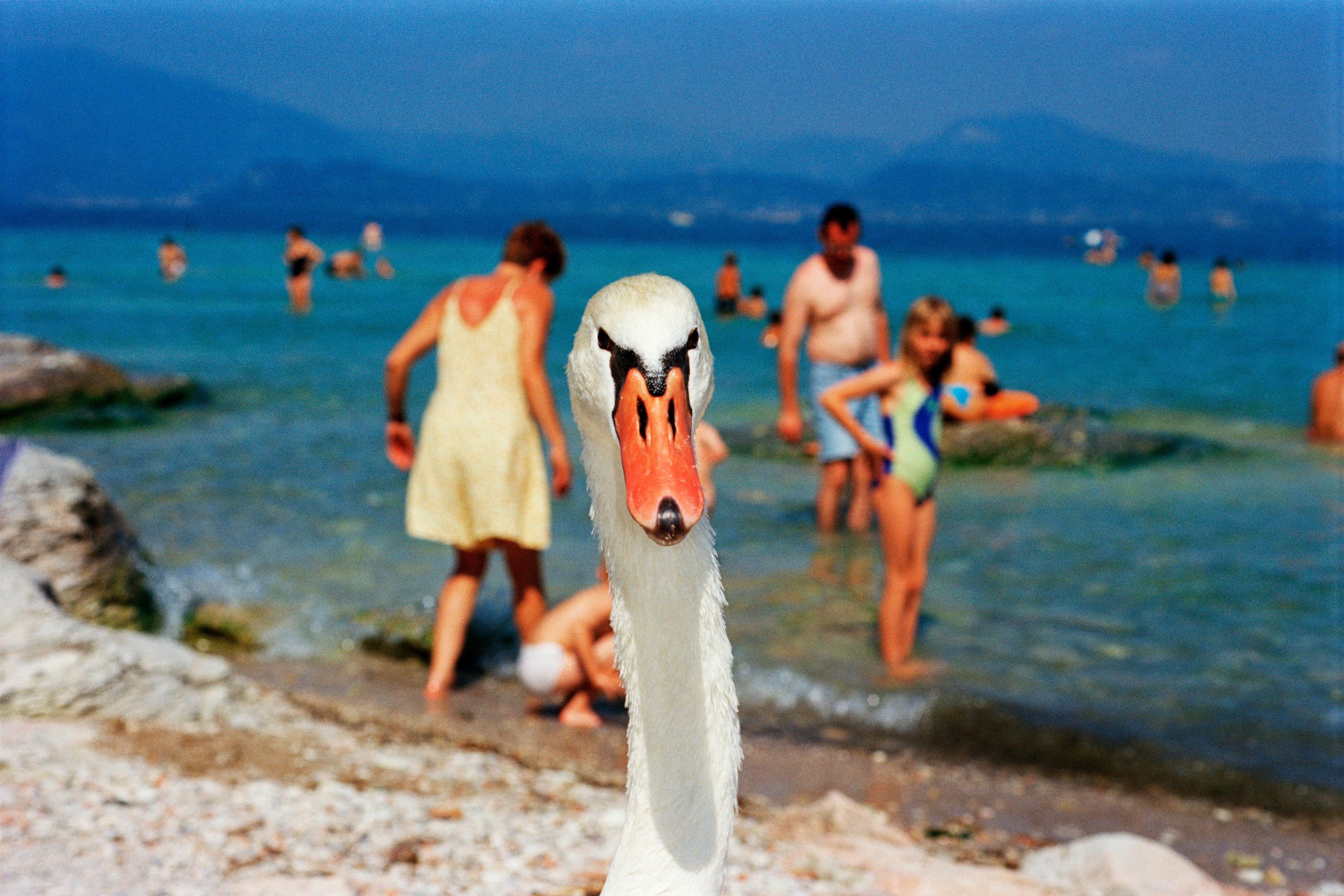 Озеро Гарда, Италия, 1999. Фотограф Мартин Парр