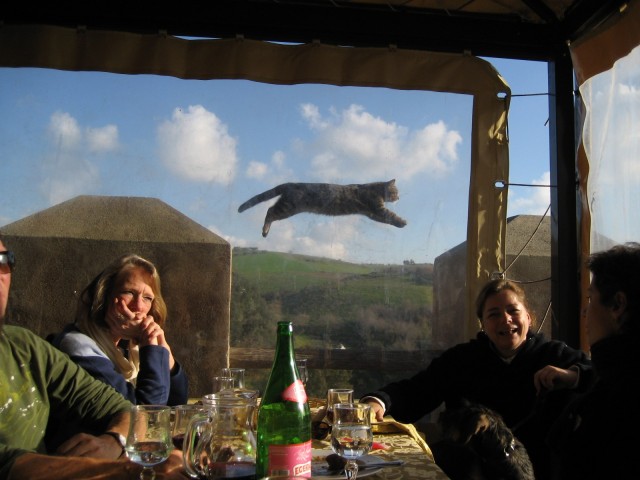 Парящий кот. Фотограф Паоло Тинари