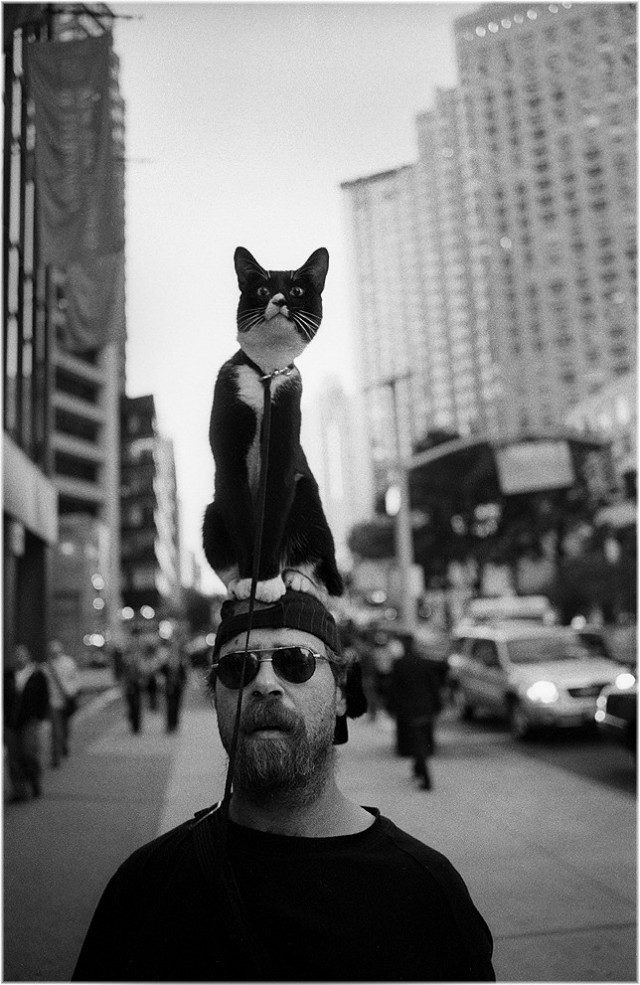 Прогулка с котом, Нью-Йорк, 2008. Фотограф Мэтт Вебер