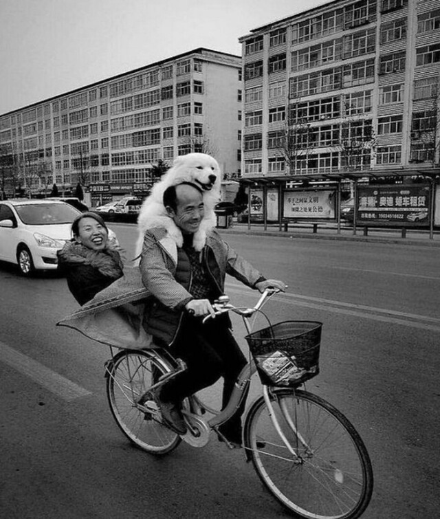 Втроём на велосипеде. Фотограф Jl TaoTao