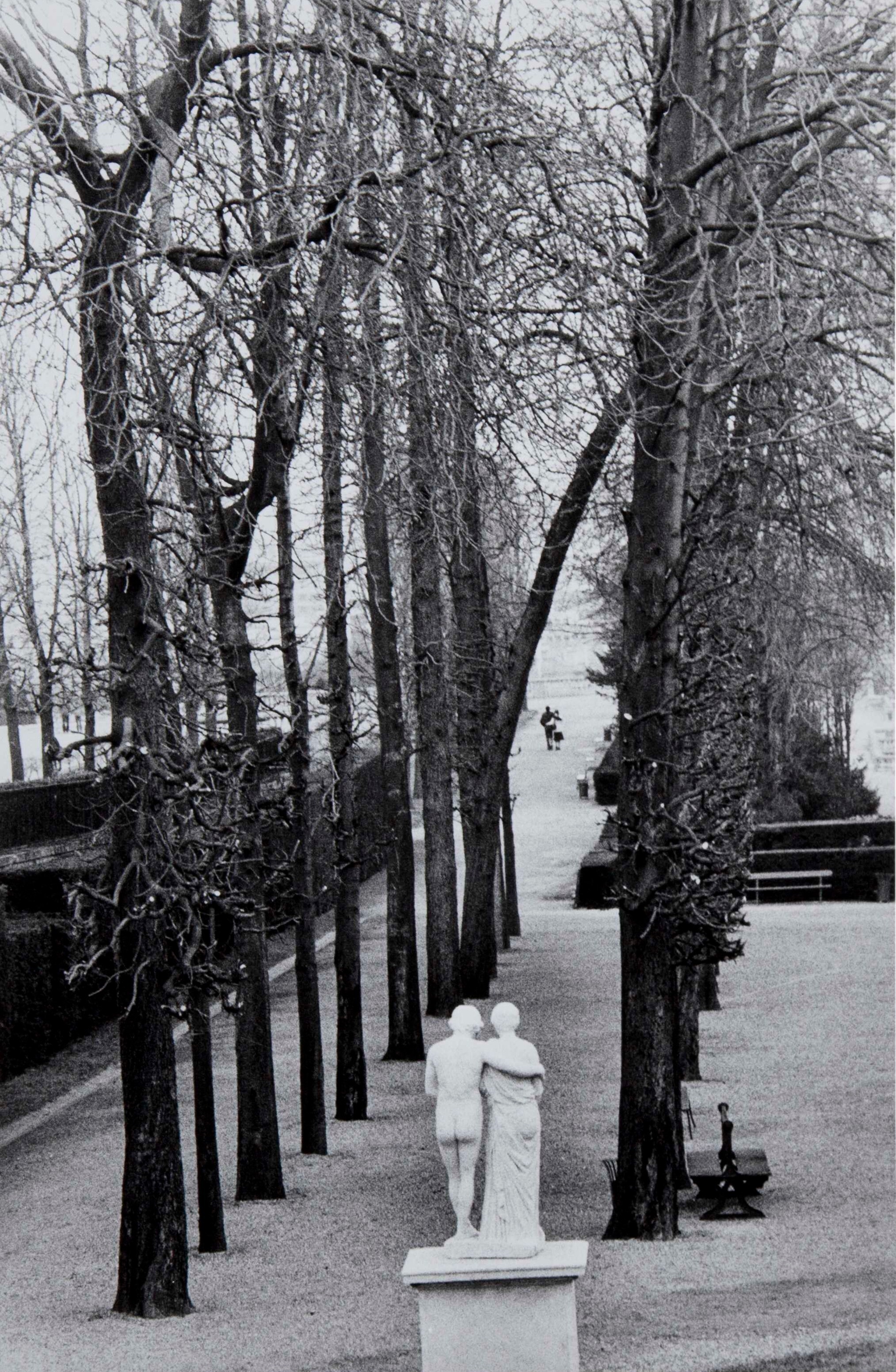 Парк Сен-Клу, 1981. Фотограф Эдуард Буба