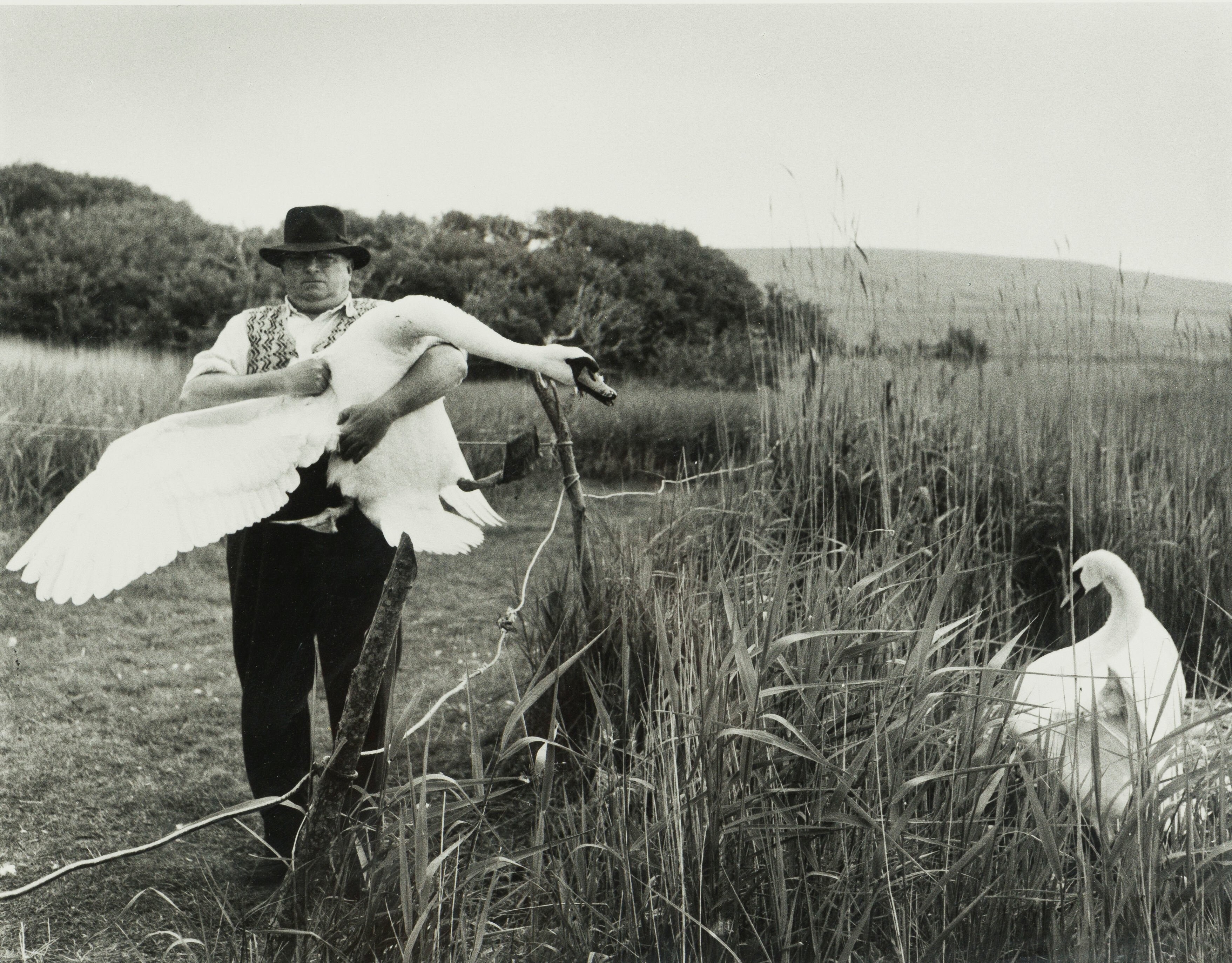 Человек и лебеди, 1961. Фотограф Робер Дуано