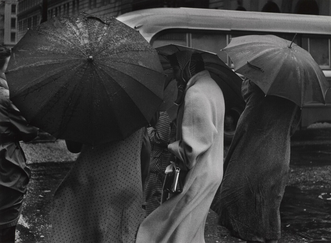 Под дождём в Сан-Франциско, 1955. Фотограф Пиркл Джонс