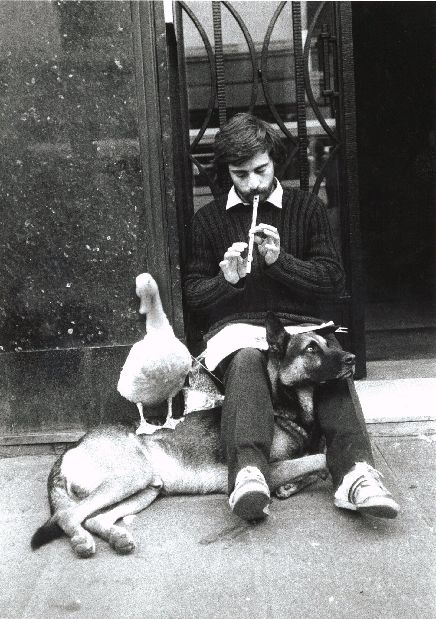 Из серии Кошки и Собаки. Париж, 1980-е. Фотограф Александр Бородулин