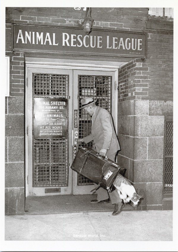 Дерзкий побег из Лиги защиты животных, Бостон, 1940