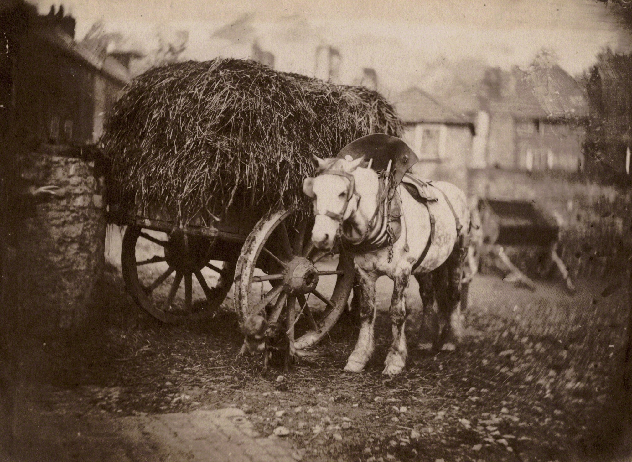 Лошадь и телега с сеном, Бристоль, Великобритания, 1850-е. Фотограф Джон Беван Хазард