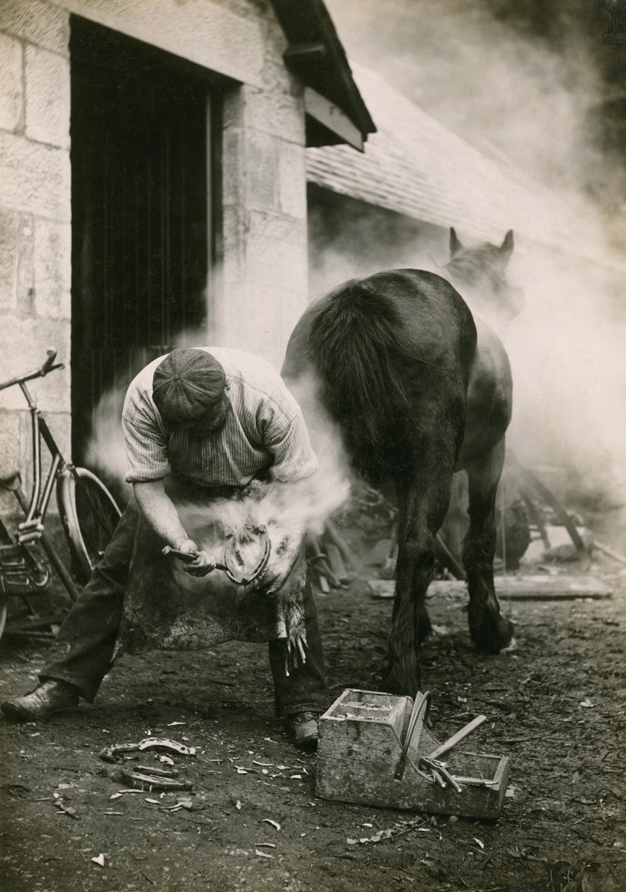 Фермер чистит копыто лошади перед тем, как её подковать. Шотландия, 1921. Фотограф Уильям Рид