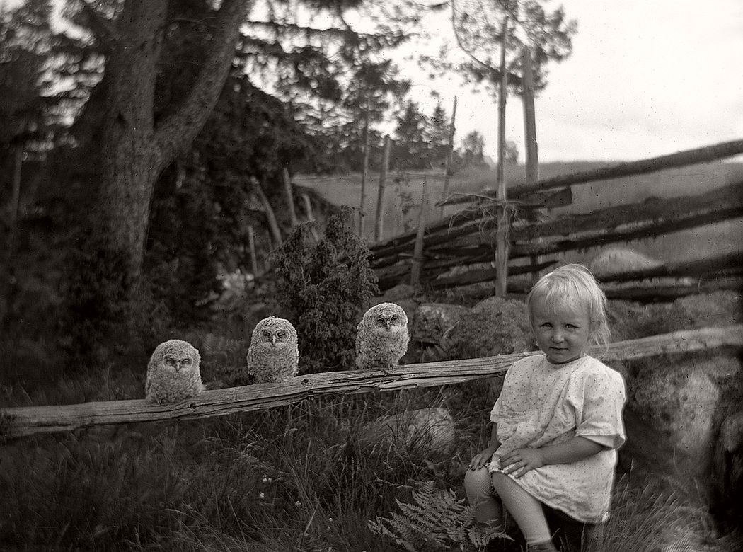 Девочка и совята, Швеция, 1925. Фотограф Оскар Ярен (Oskar Jarén) — История в фотографиях: люди, времена и нравы / Камералабс