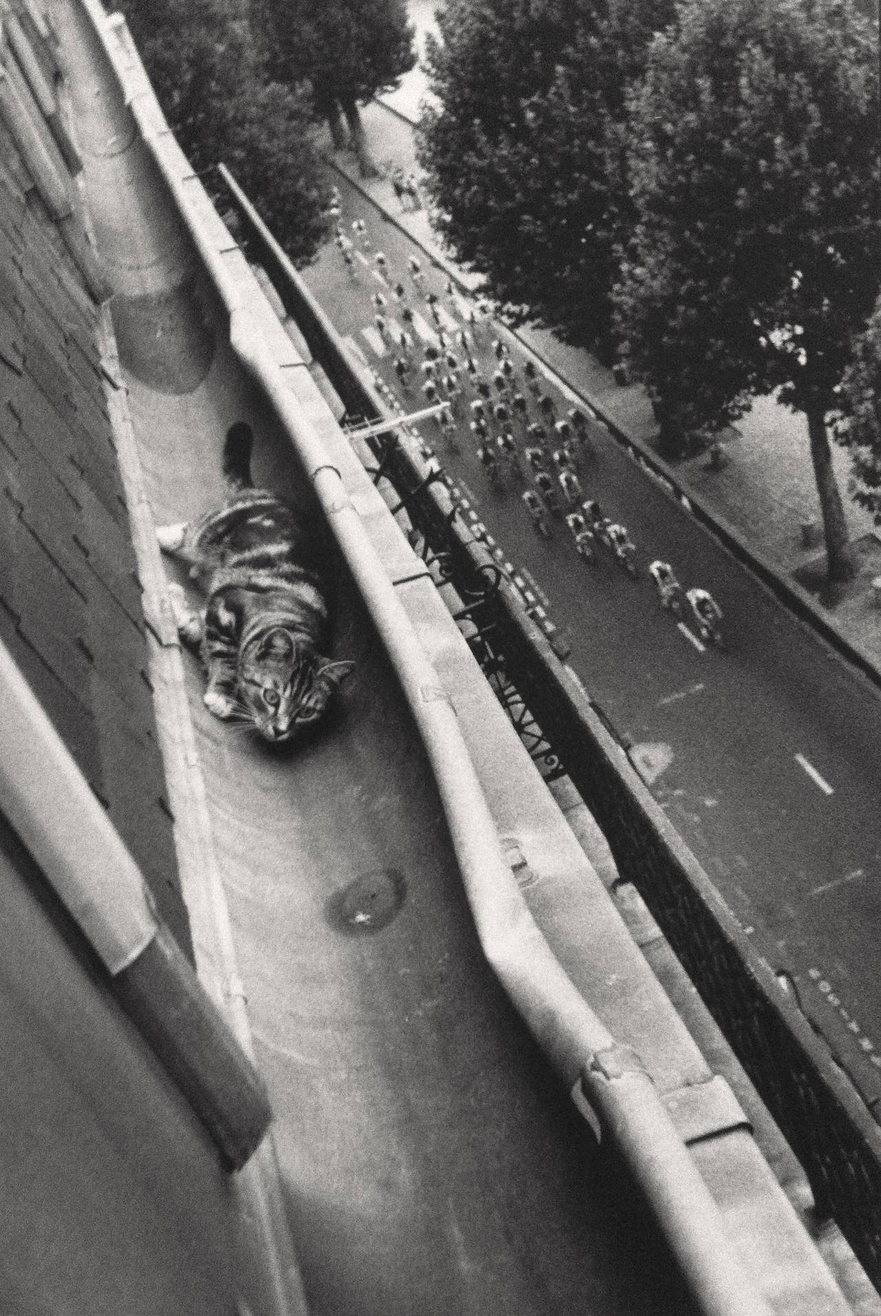 Давай, Вергилий! Велосипедный тур в Париже, 1989. Необычный ракурс. Фотограф Мари Бабей