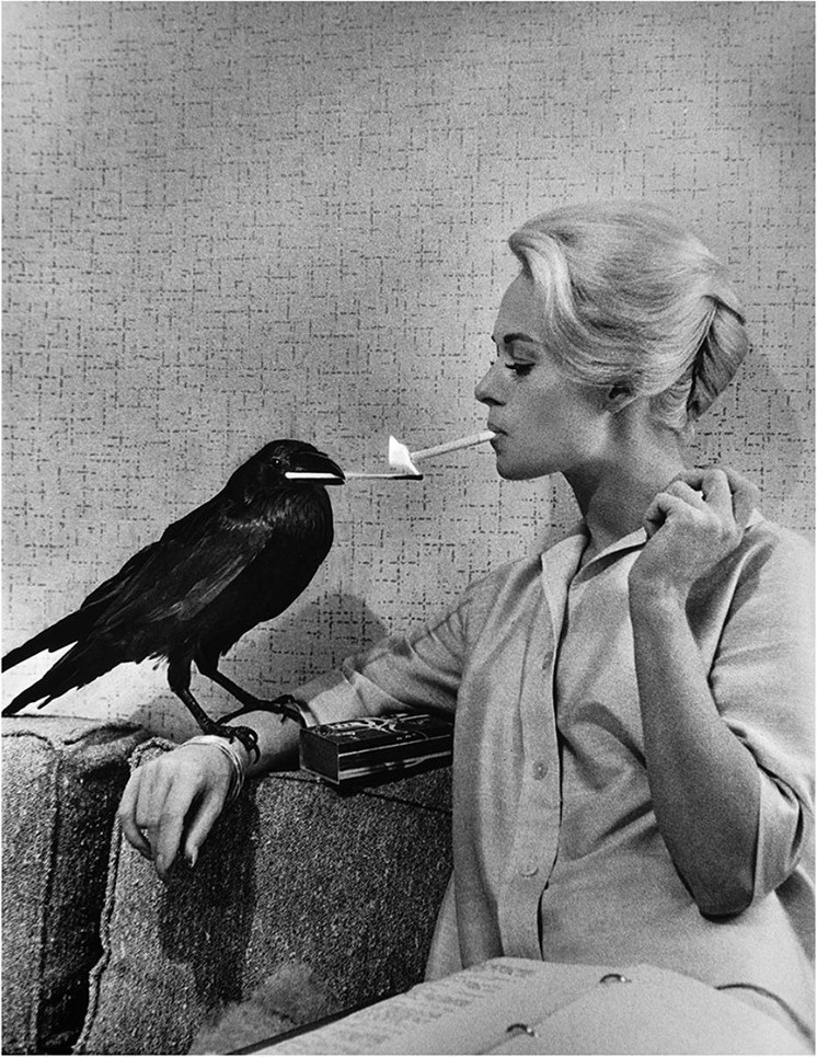 Типпи Хедрен и ворон Бадди, с которым актриса сдружилась на съёмках фильма Альфреда Хичкока «Птицы», 1963. Фотограф Филипп Халсман