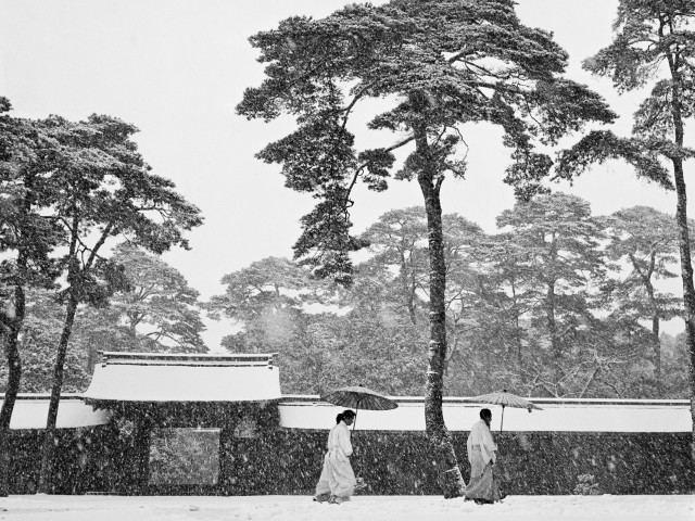 Синтоистские священники в саду храма Мэйдзи, Токио, 1951. Фотограф Вернер Бишоф