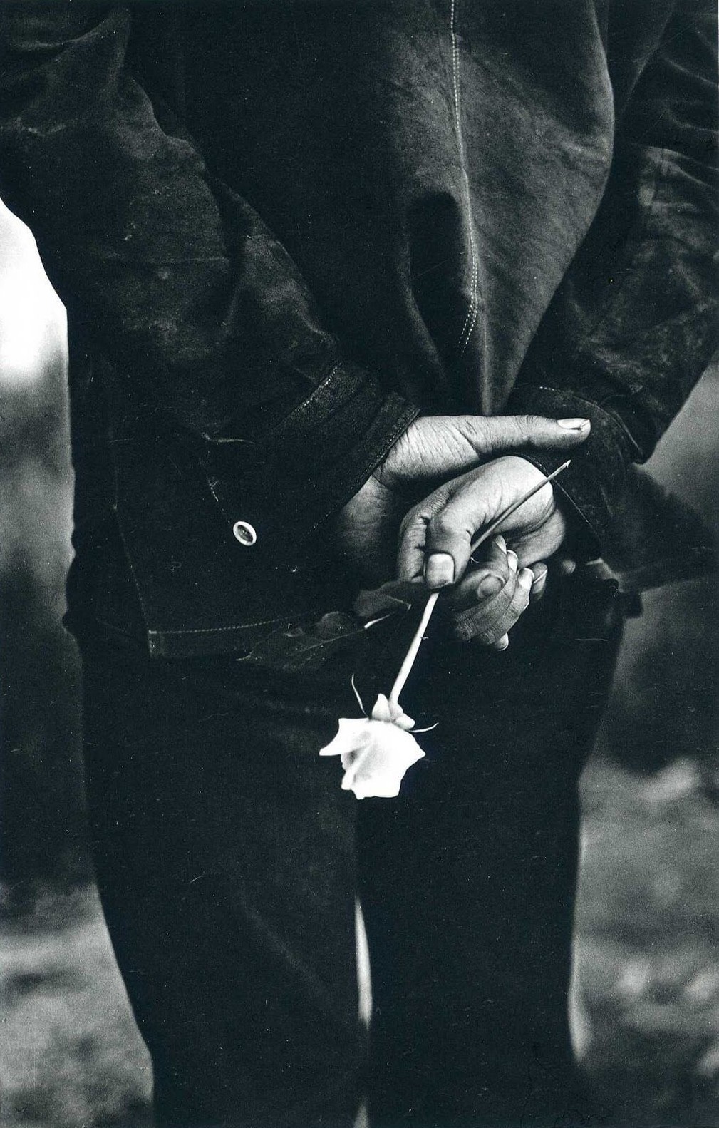 Человек с розой, Сан-Франциско, 1960-е. Фотограф Ральф Гибсон
