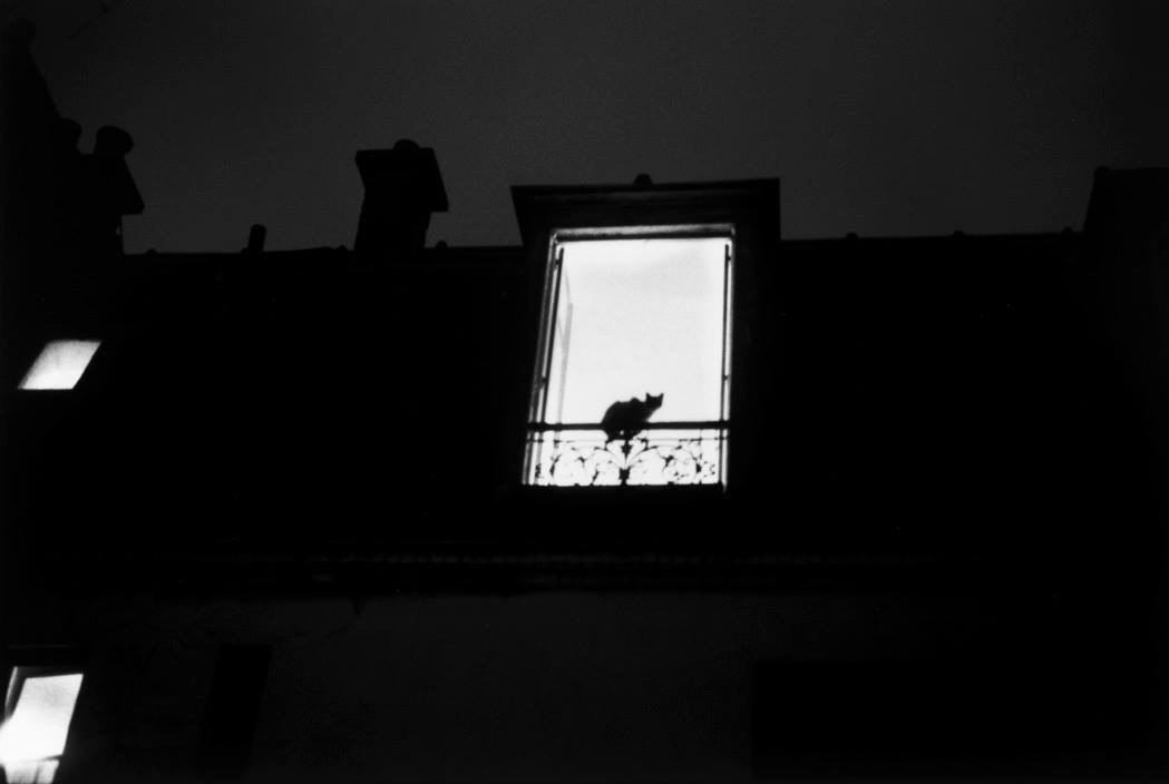Париж, 1989. Фотограф Ги Ле Керрек — Чёрно-белое настроение / Камералабс