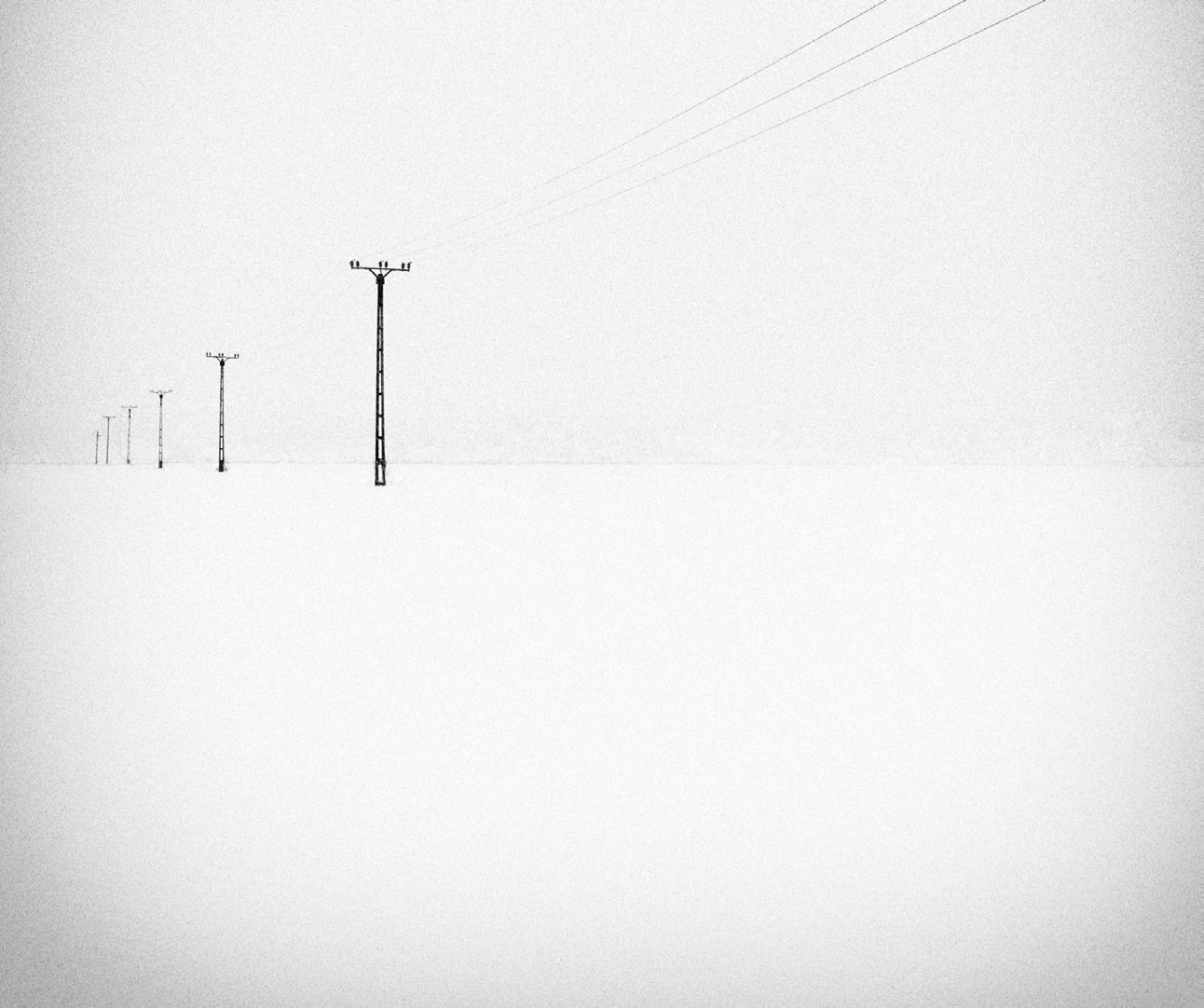 Зимнее хайку. Фотограф Андрей Бачу