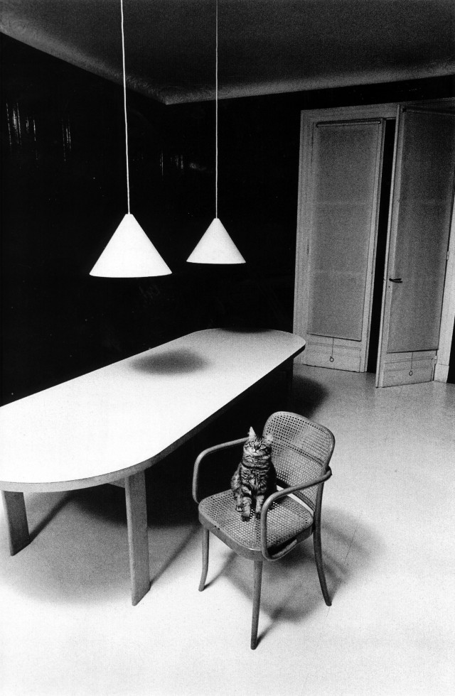Кот, 1973. Фотограф Жанлу Сьефф