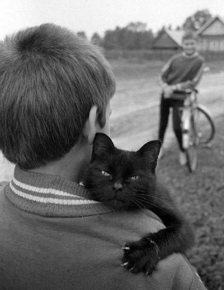 Чёрный кот и его человек. Фотограф Пол Маккейн