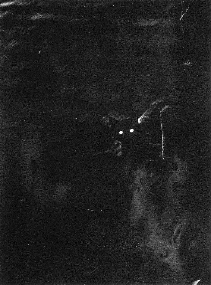 Ночная прогулка, 1937. Фотограф Эрнё Вадаш — Чёрно-белое настроение / Камералабс