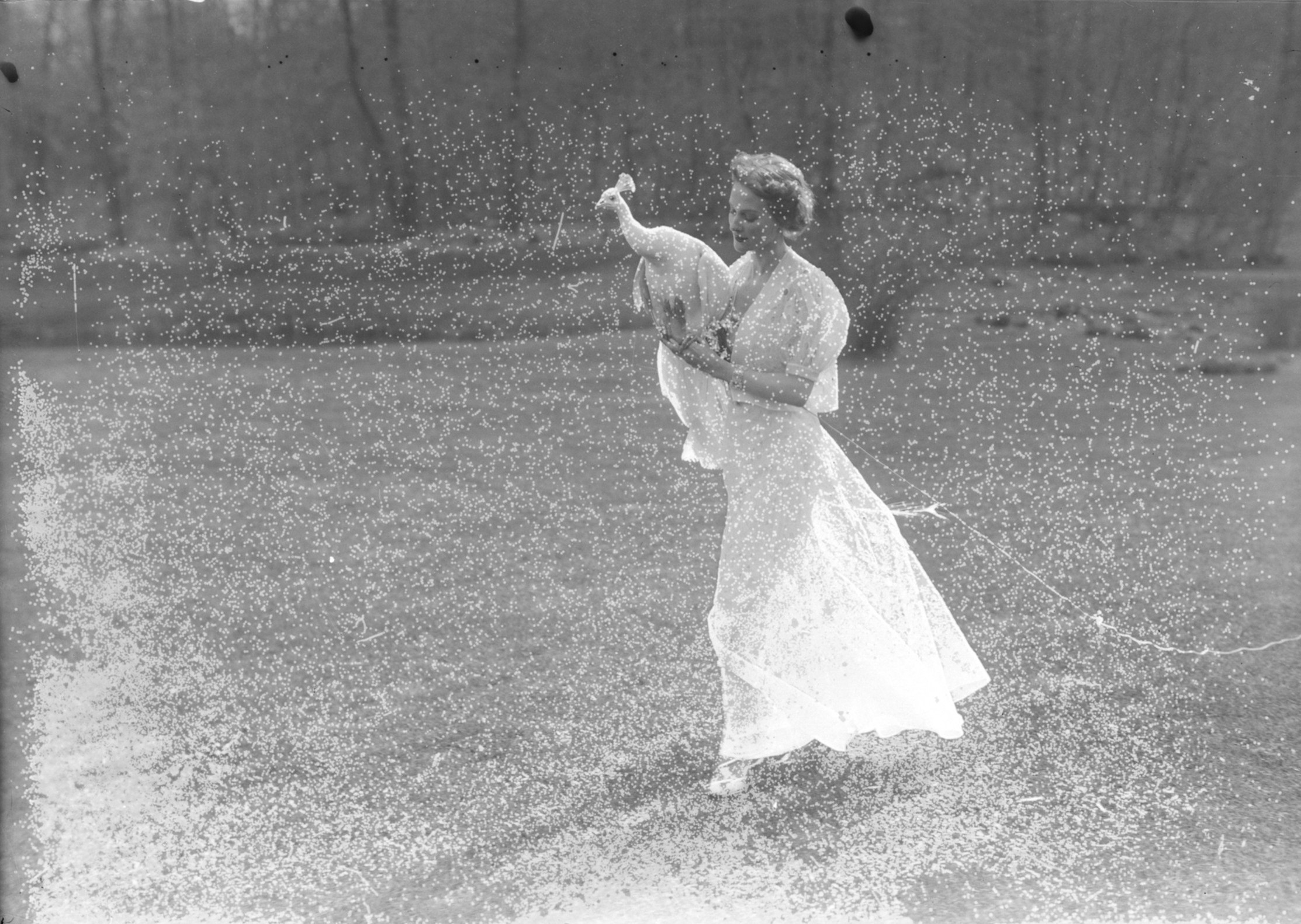 Женщина с павлином, 1936. Фотограф Мартин Мункачи