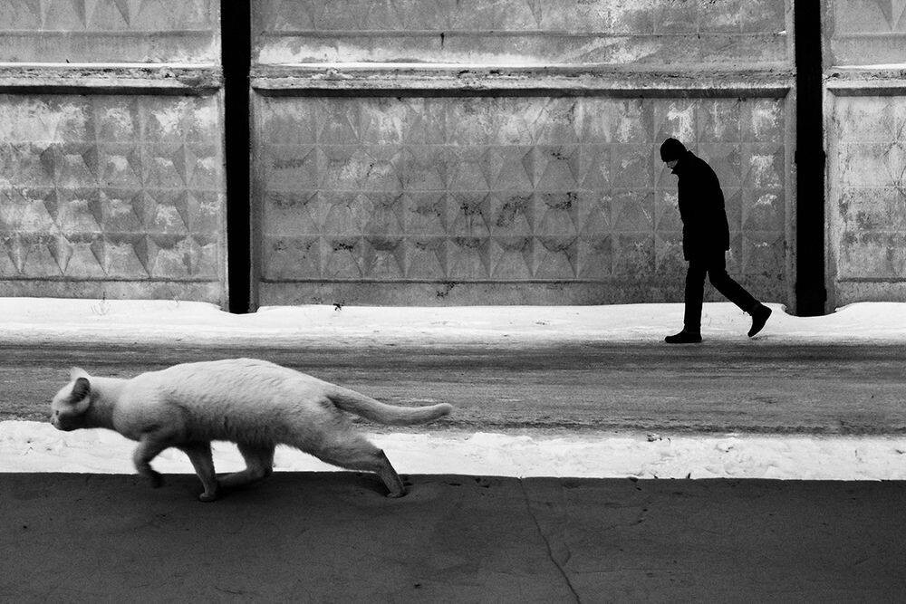 Два одиночества. Фотограф Евгения Гор