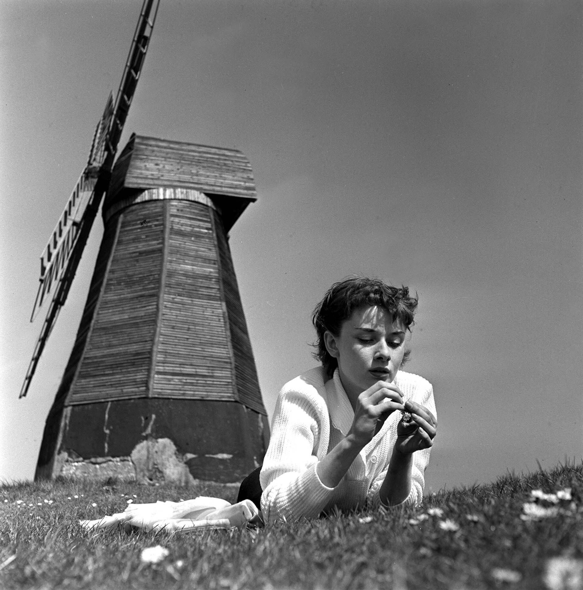 Одри Хепбёрн в поле с ветряной мельницей, Суссекс, Англия, 1951