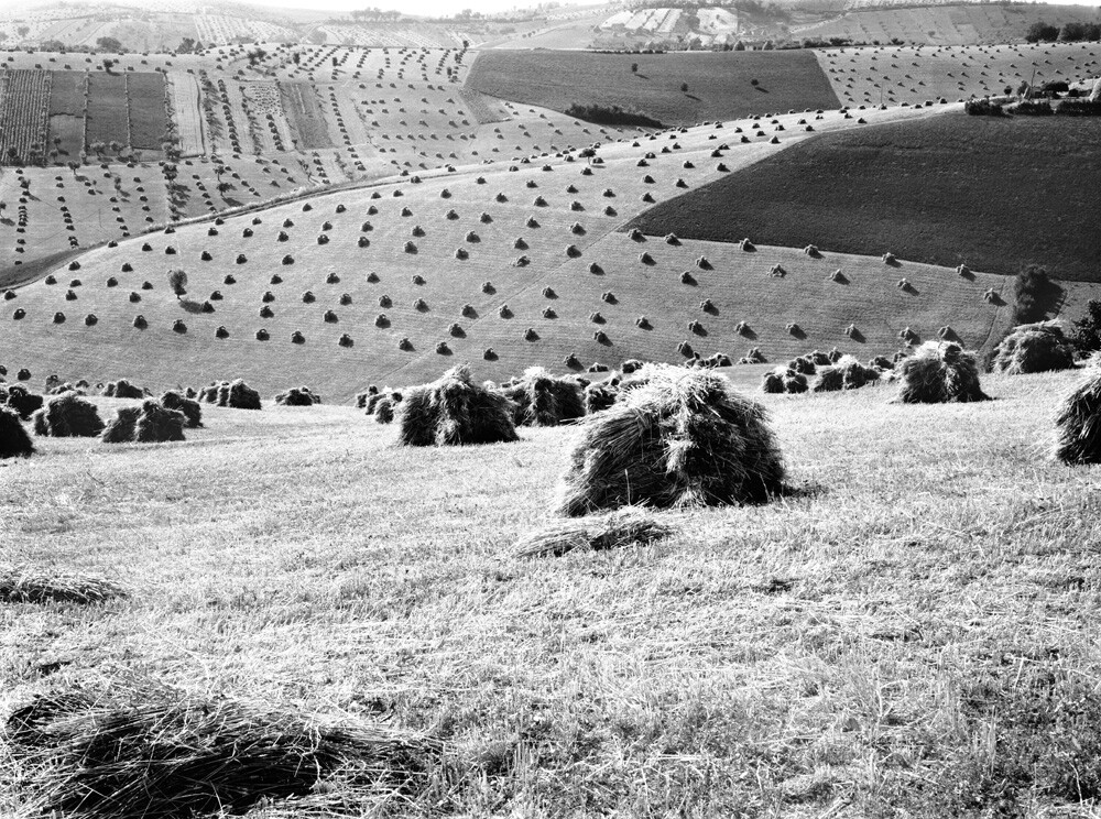 Сельский пейзаж, Италия, 1960-е. Фотограф Ренцо Тортелли