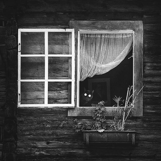 Открытое окно. Фотограф Андо Фукс