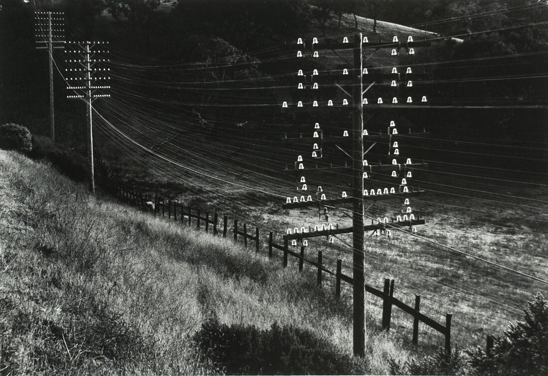 Округ Марин, Калифорния, 1948. Фотограф Пиркл Джонс