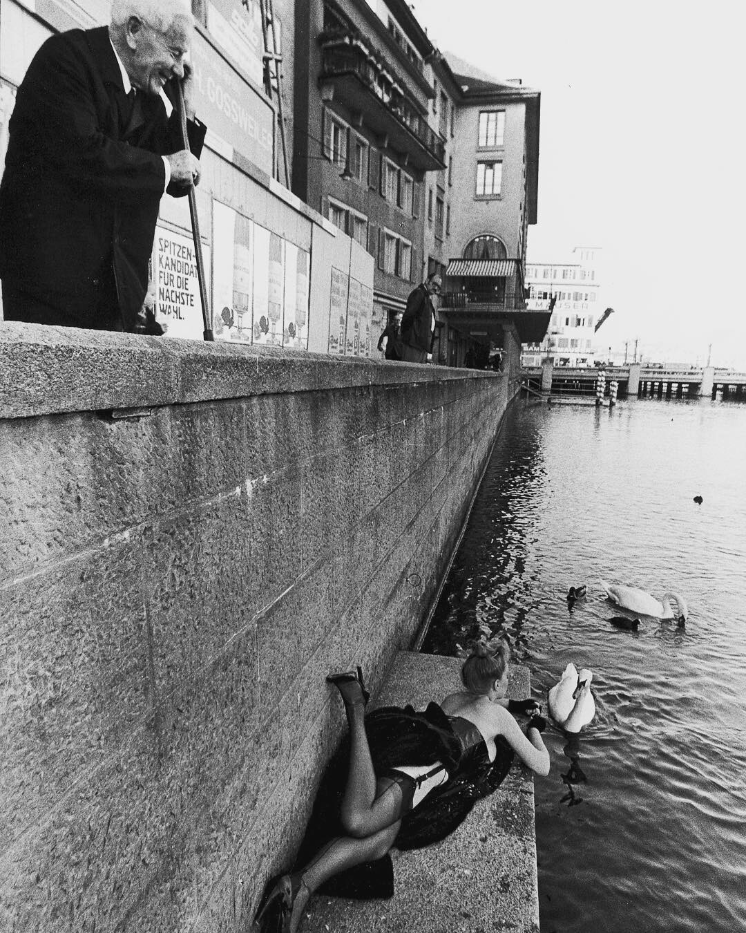 Кормление лебедей. Цюрих, 1970-е. Фотограф Джилл Фридман
