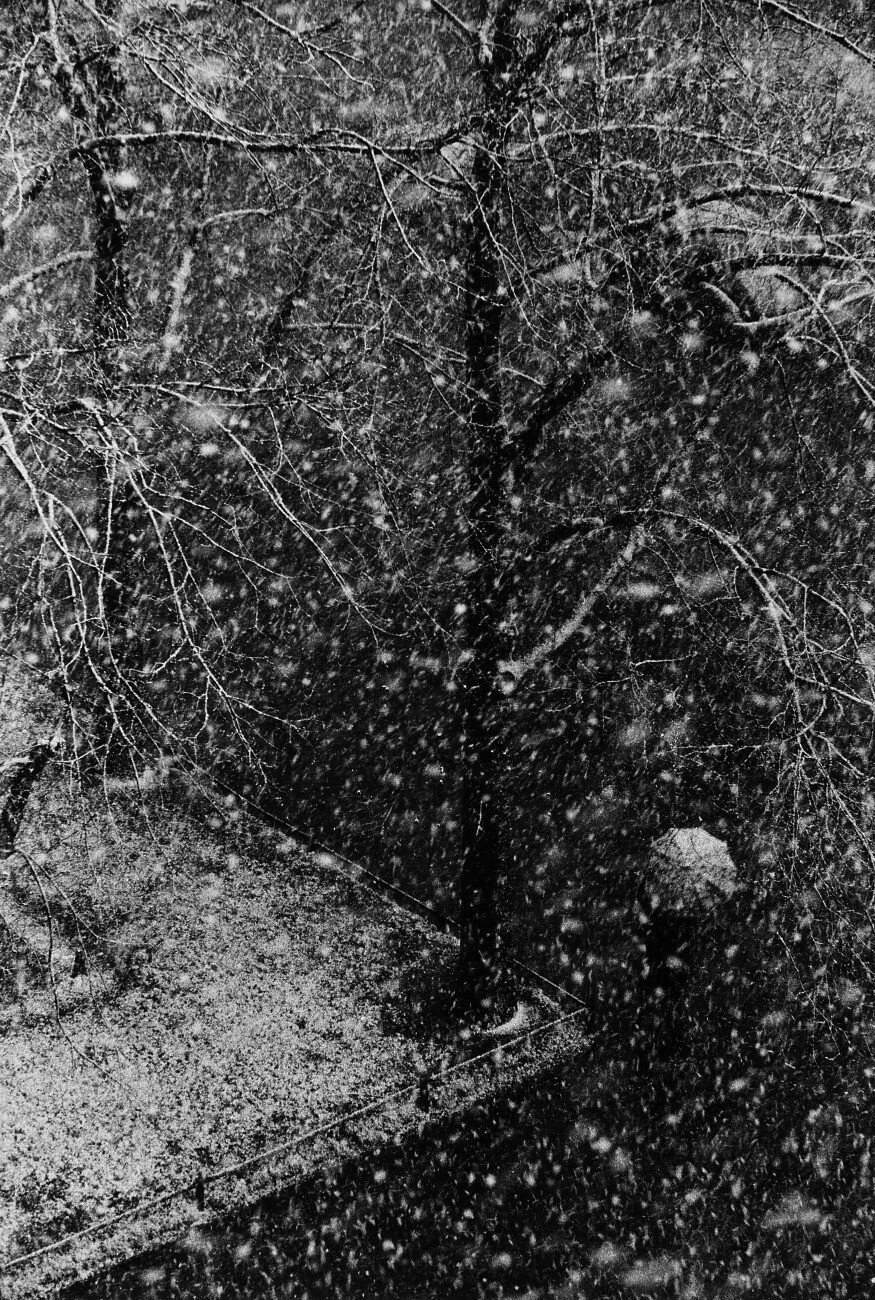 Первый снег. Вид из фотостудии в районе Швабинг, Мюнхен, 1950. Фотограф Герберт Лист