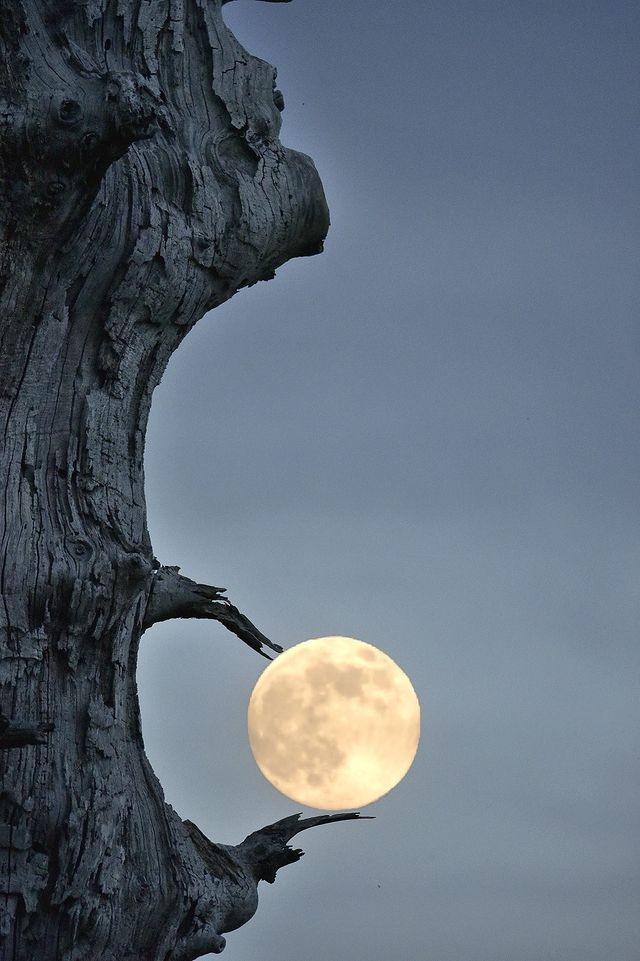 «Захват Луны». Фотограф Кристоф Нэй
