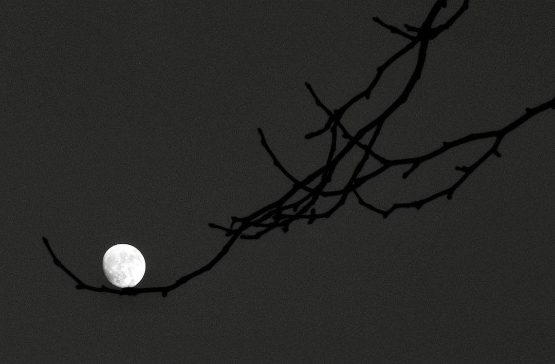 Лунная колыбель. Фотограф Алан Шаллер