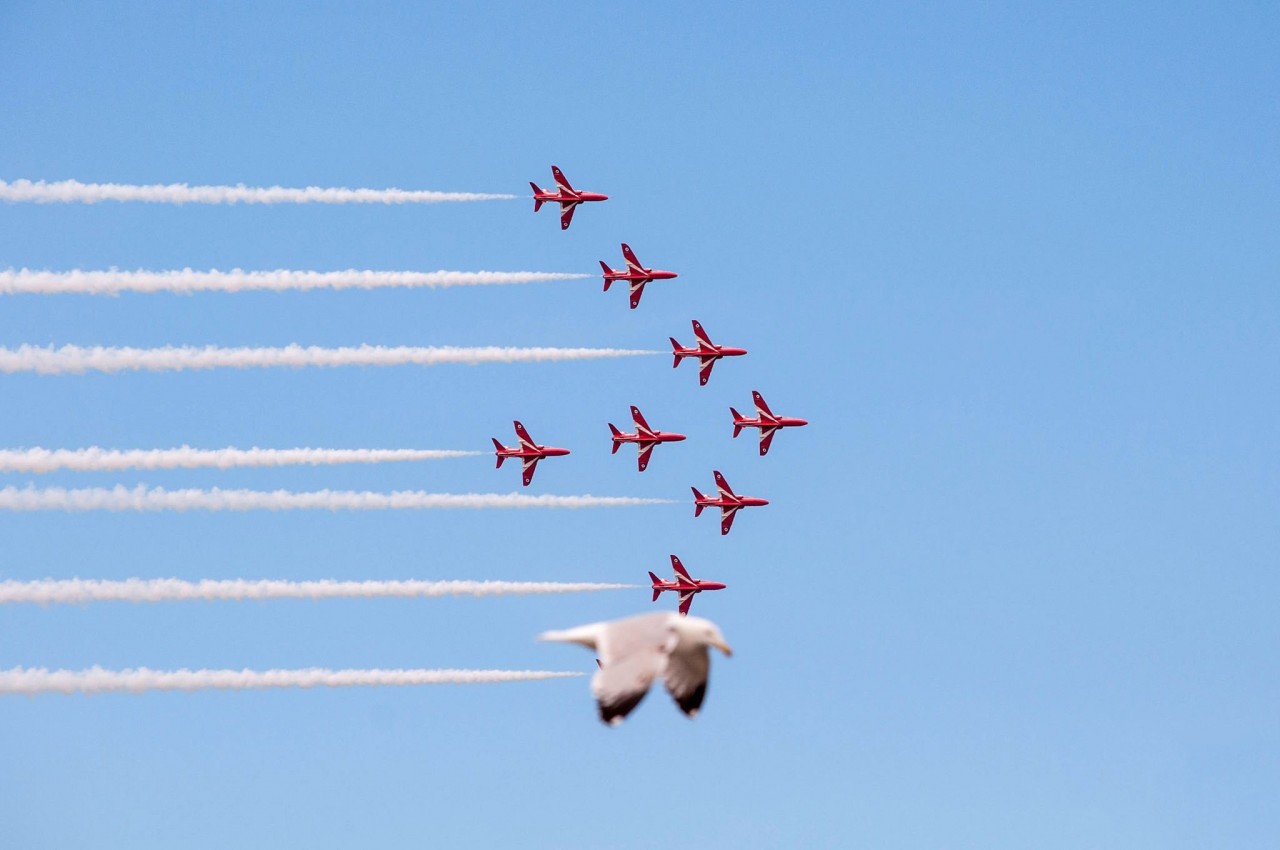 Чайка и Красные стрелы (пилотажная группа Королевских ВВС Великобритании). Фотограф Джейд Коксон