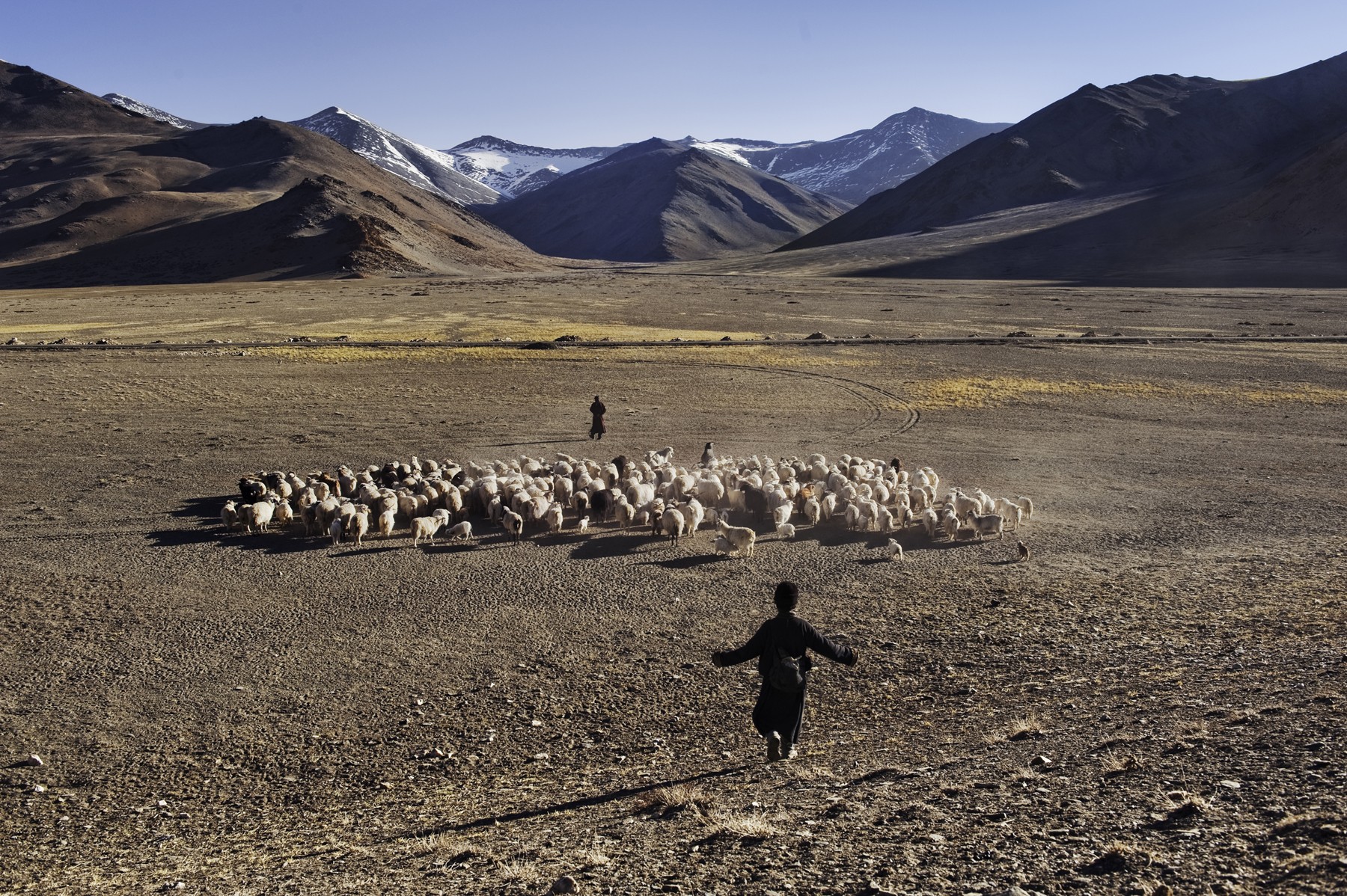 Пастухи, Индия. Автор Стив Маккарри