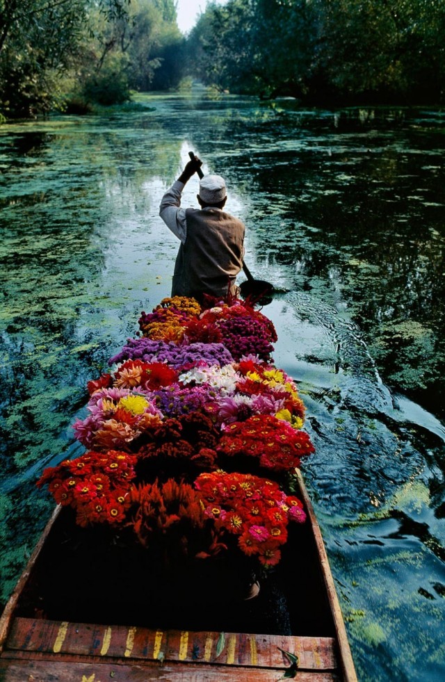 Продавец цветов. Озеро Дал в Сринагаре, Джамму и Кашмир, Индия, 1999. Автор Стив Маккарри