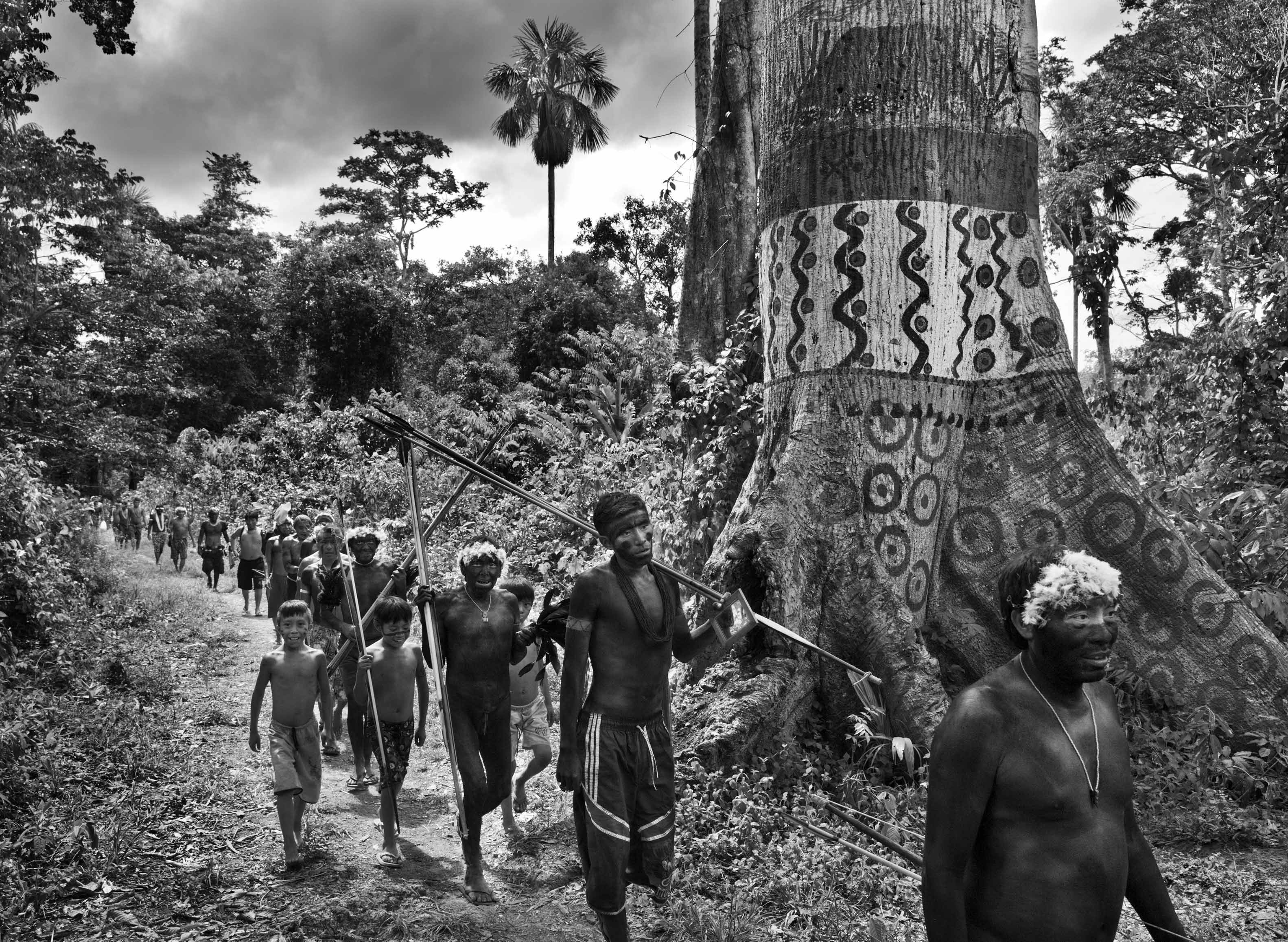 Индейцы племени яномама, Бразилия. Автор Себастьян Сальгадо