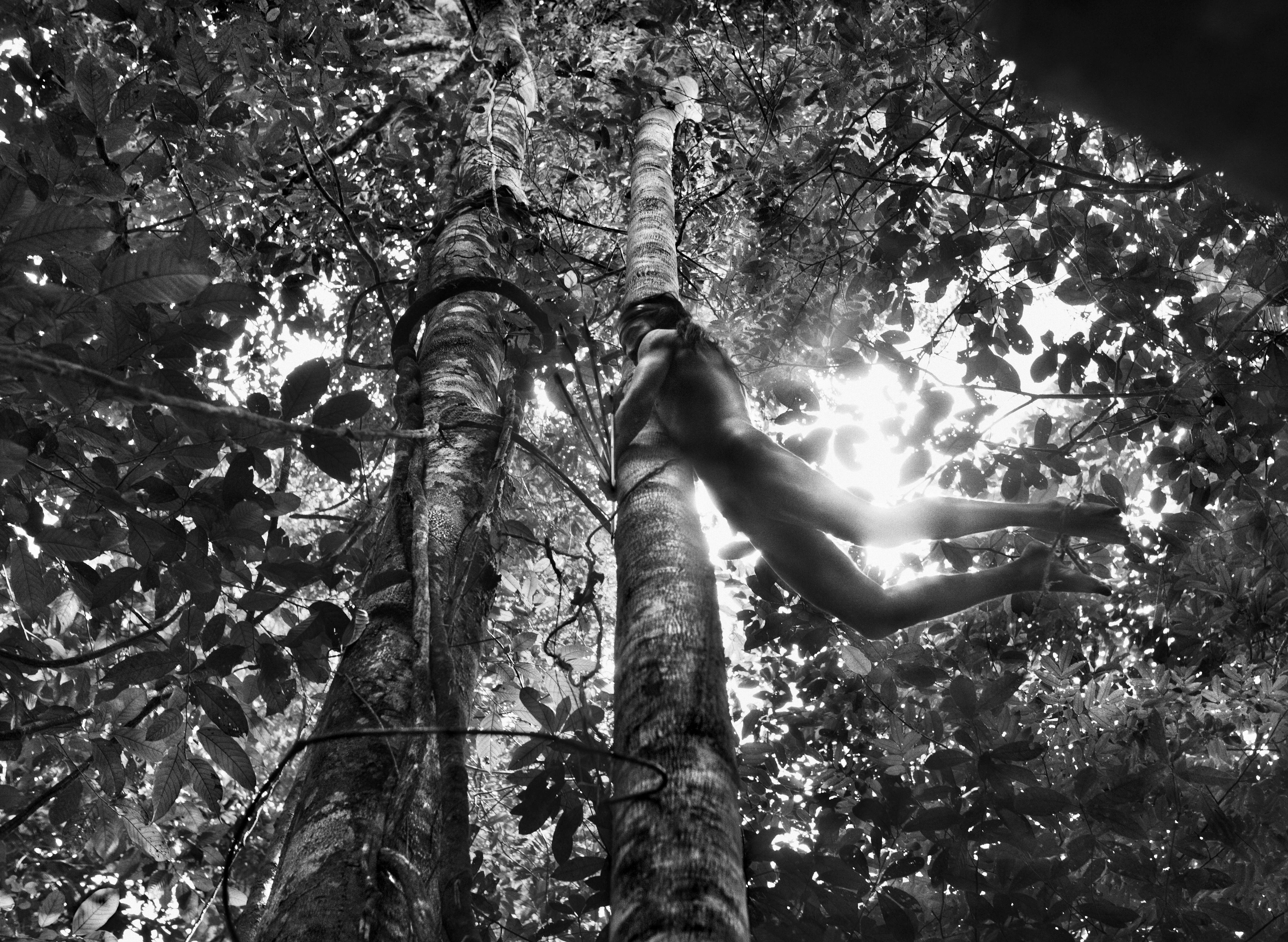 Охотник из племени Зоэ, штат Пара, Бразилия, 2009. Автор Себастьян Сальгадо