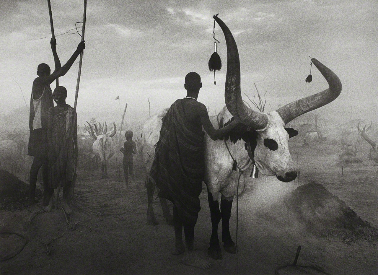 Группа народности динка в Южном Судане, 2006. Автор Себастьян Сальгадо