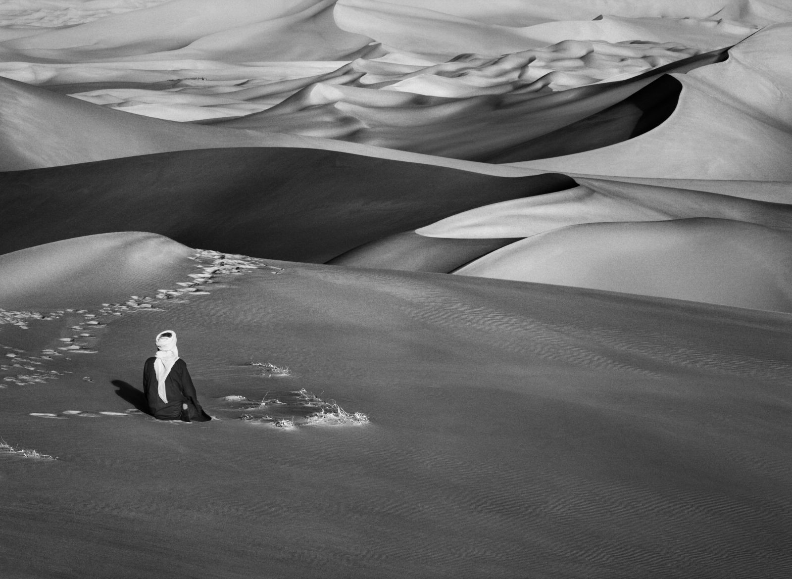 Песчаные дюны, Алжир, 2009. Автор Себастьян Сальгадо